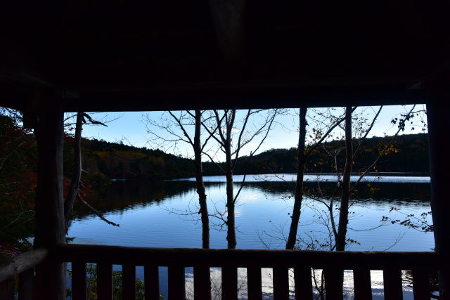 DSC_5604_505
