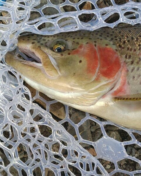 FB_IMG_1577318298018