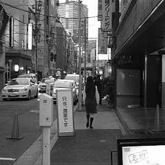 ���ĳ���