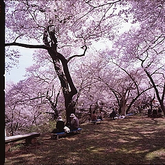 tn_Image45