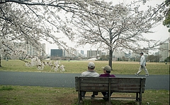 tn_Image19
