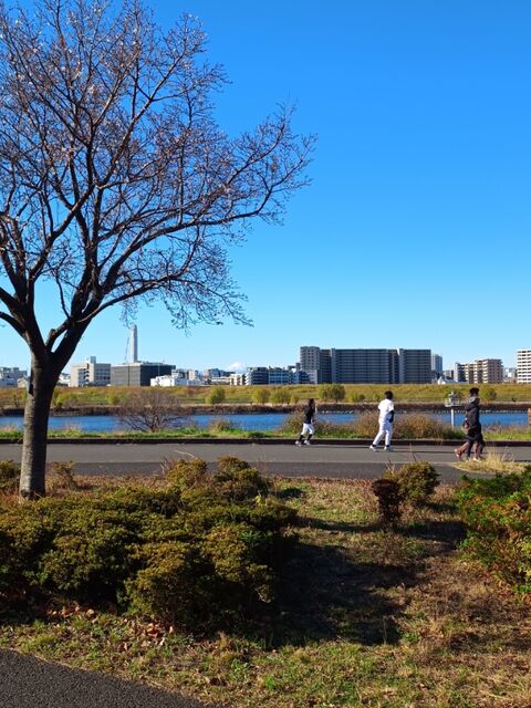 IMG_20231217_100421404