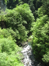渓谷と新緑