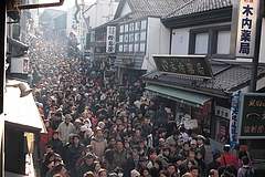 ���Ļ���ƻ