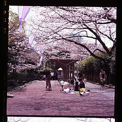 tn_Image11