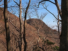 �������ĺ��������