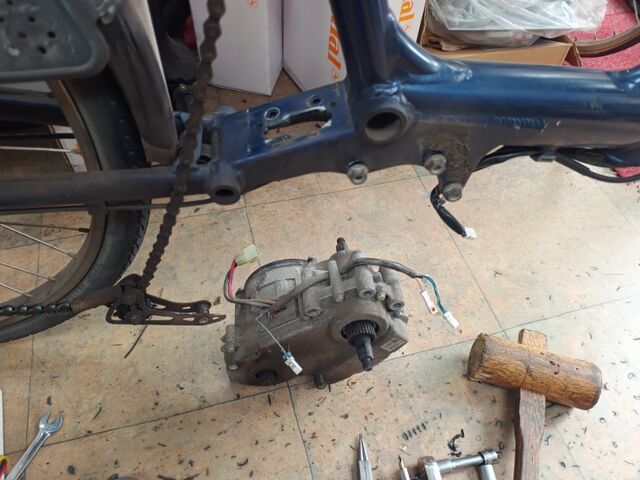 IMG_20240422_143811304