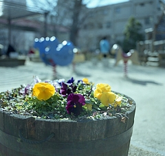 �ե��ݥå�