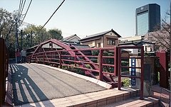 tn_Image5