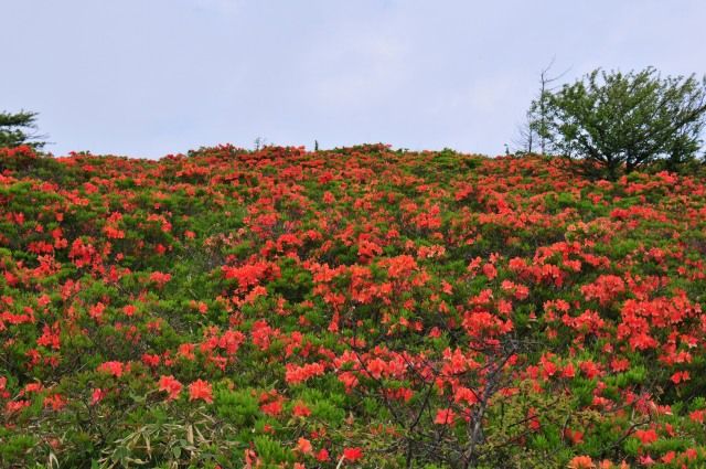 DSC_6556