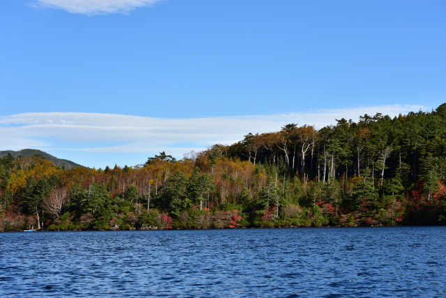 DSC_5458_498