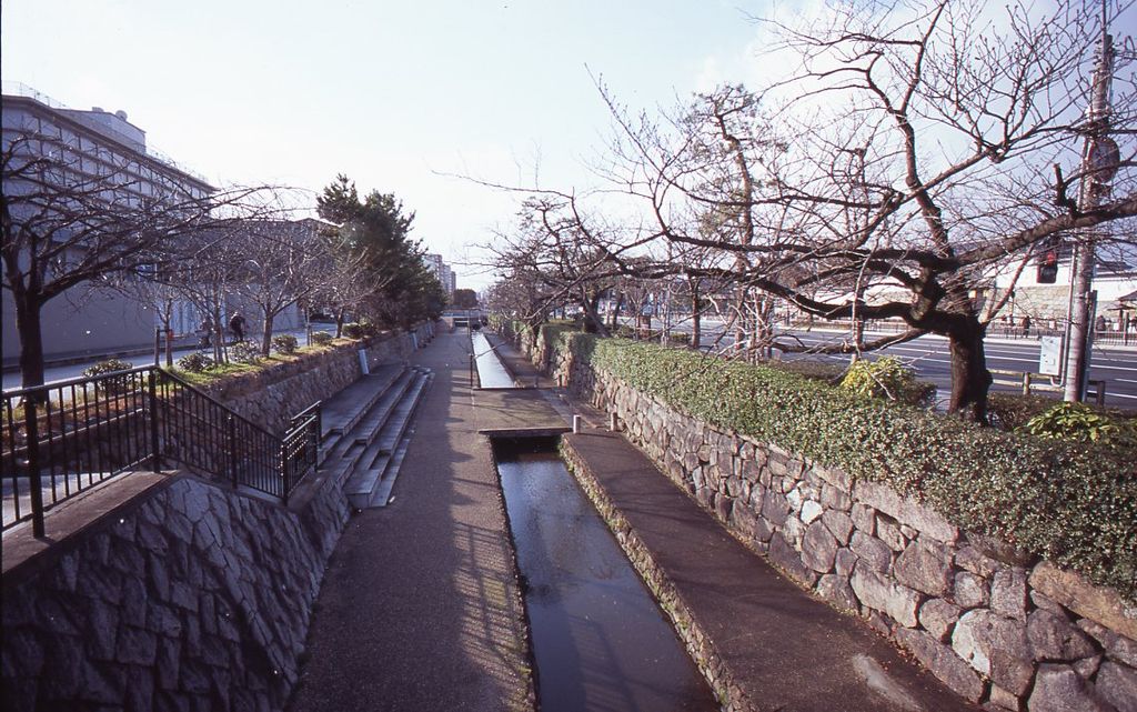 CONTAX RTS CONTAX Distagon T*18mm F4 MMJ : ライトサイクル CONTAX RTS CONTAX Distagon T*18mm F4 MMJ : ライトサイクル
