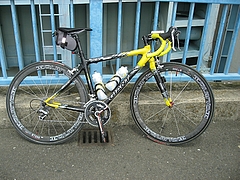 GIANT TCR��