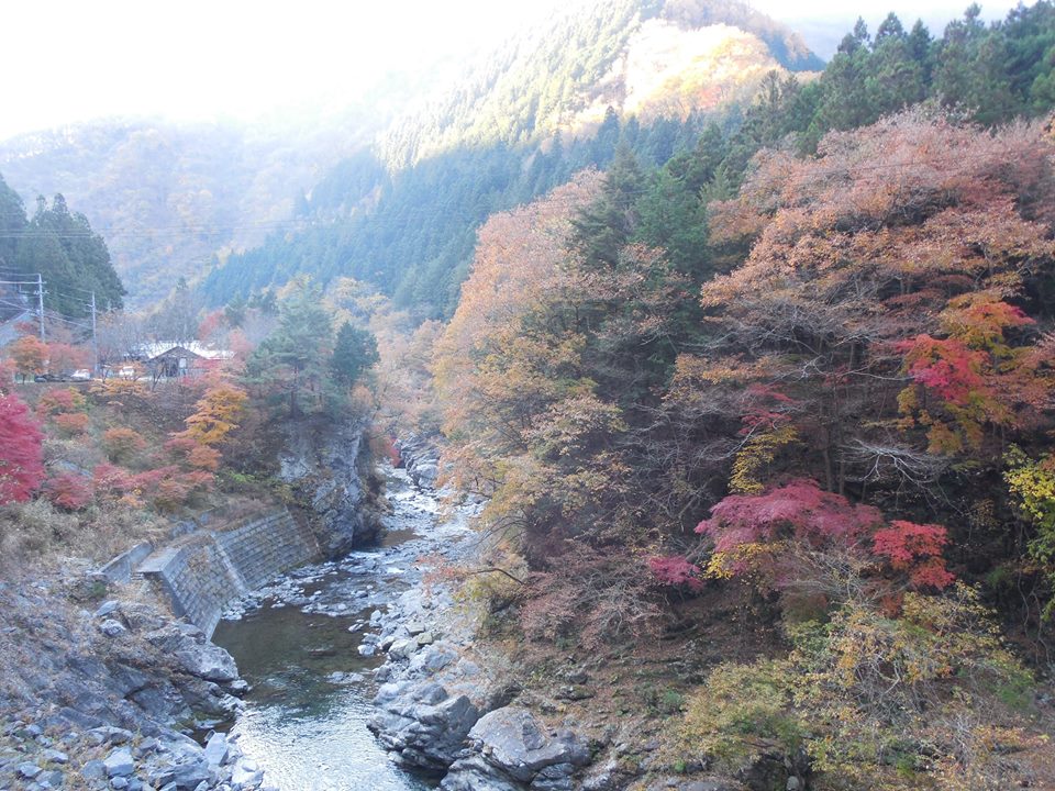 10730891_596873160442481_4004420746901004460_n