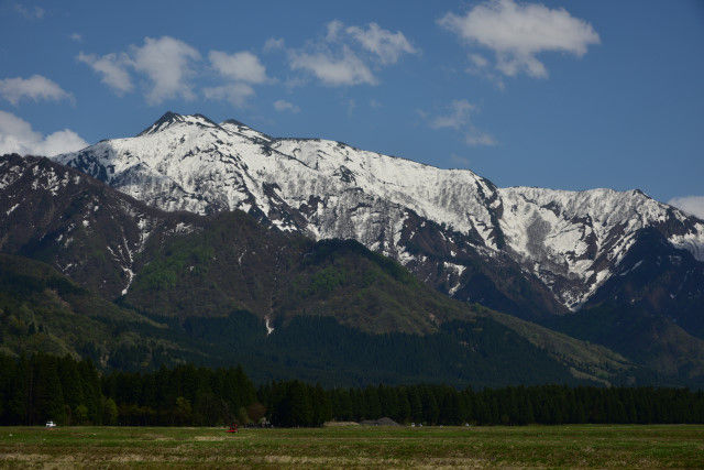 DSC_3156_3442