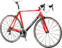 FOCUS��KAYO��ULTEGRA