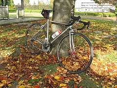 �����������