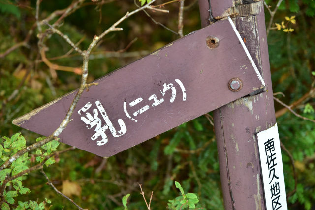 DSC_5492_500