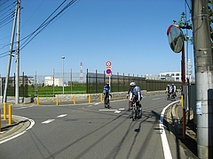 旧江戸川左岸沿い
