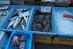 ����ī�Ԥˤ�