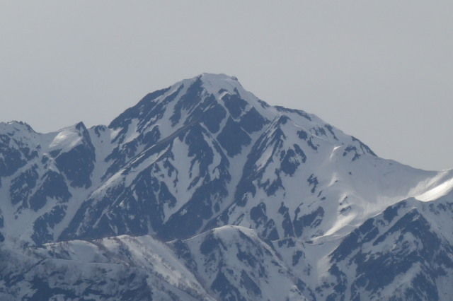 DSC02637
