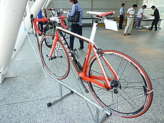 レッド/ホワイト