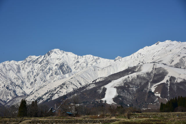 DSC_2968_3449