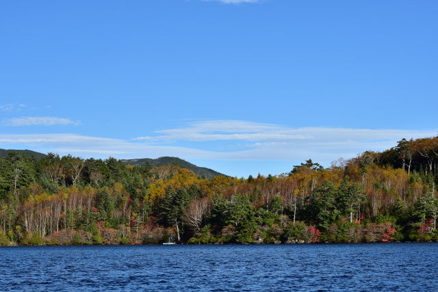 DSC_5427_495