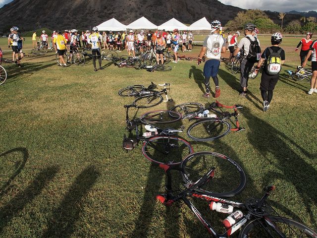 e345fb987c8431dbd8ce