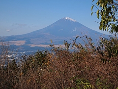 ����ƽ���������