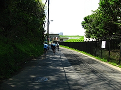 旧江戸川左岸沿い