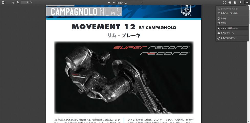 12 campagnolo