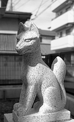 ���ä��ꤪ��ꤷ�Ƥ��ޤ�