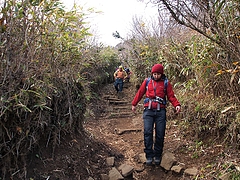 ���������β���