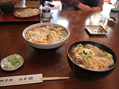 tn_PC300208