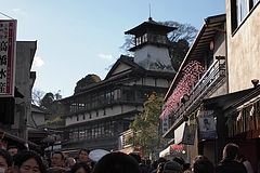 ���Ļ���ƻ