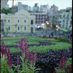 Macau ����Ʋ����