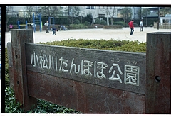 ����ݤݸ���