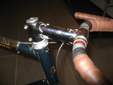 stem