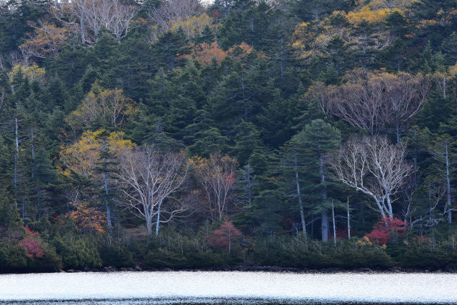 DSC_5615_506