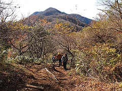 ����ƽ����