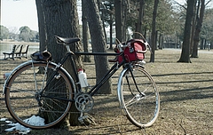 Rene Herse
