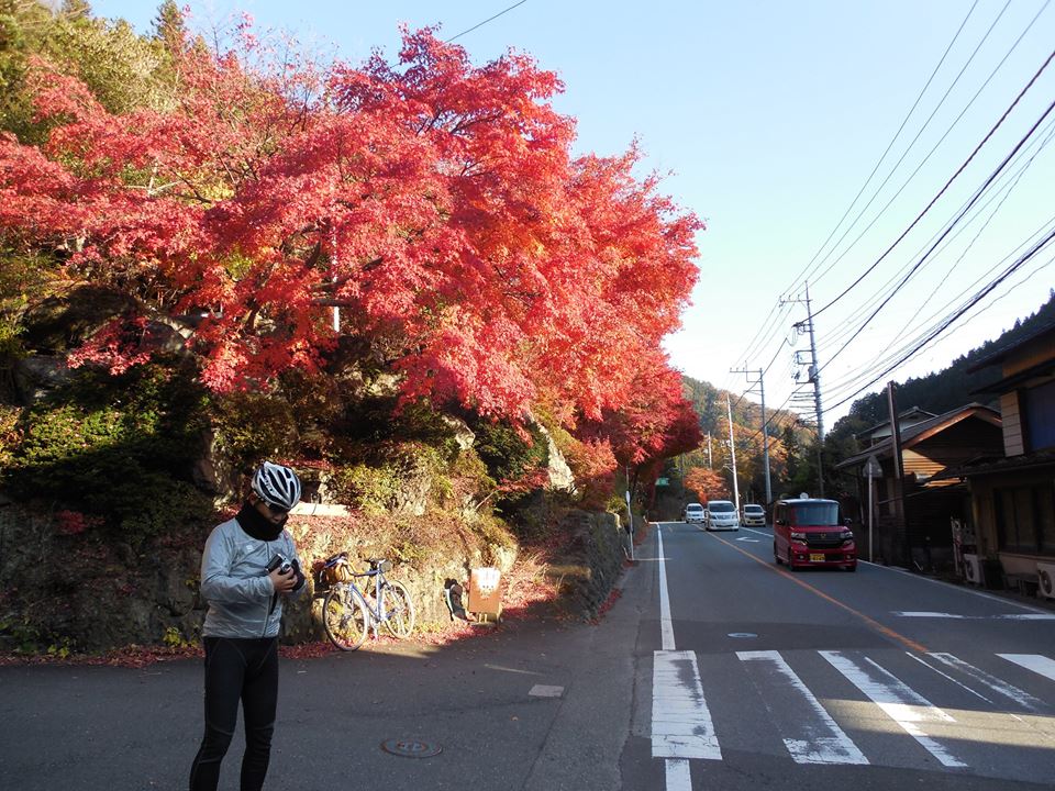 64279_596868460442951_8531557824230991308_n