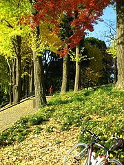 ����������ˤ�