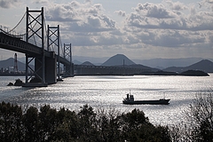 tn_P1181920
