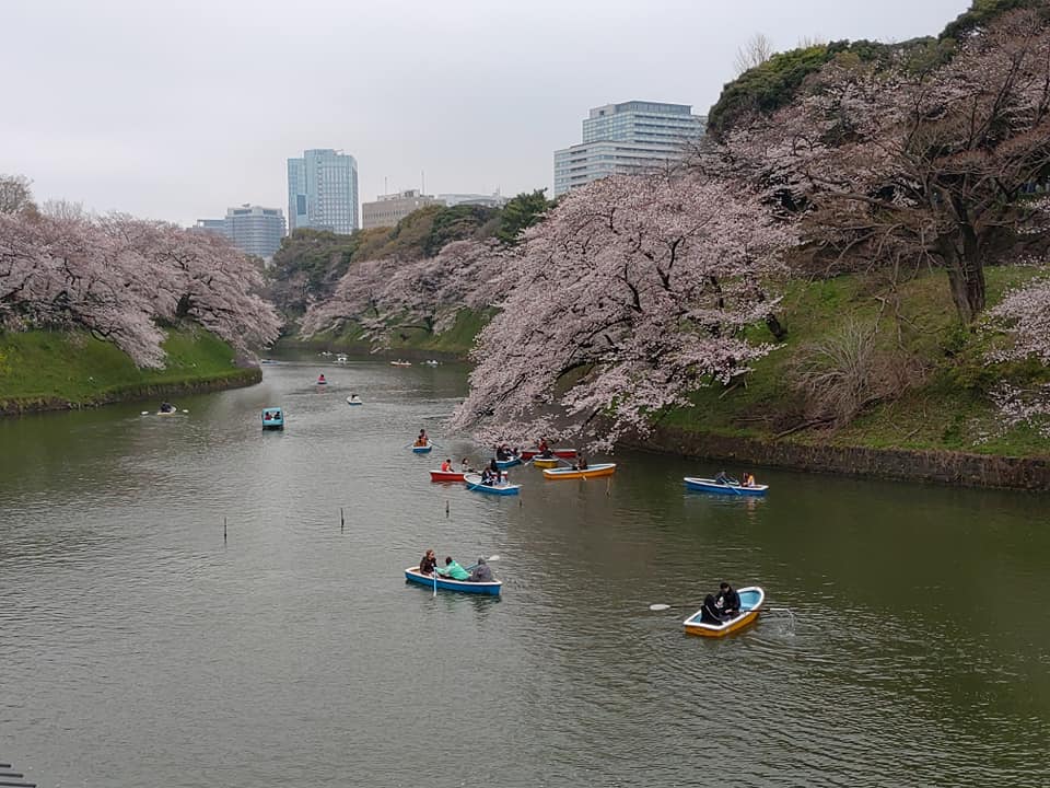 55637107_2537427739635585_4195303821141868544_n