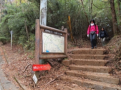 ������л���