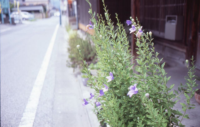 img633_2231