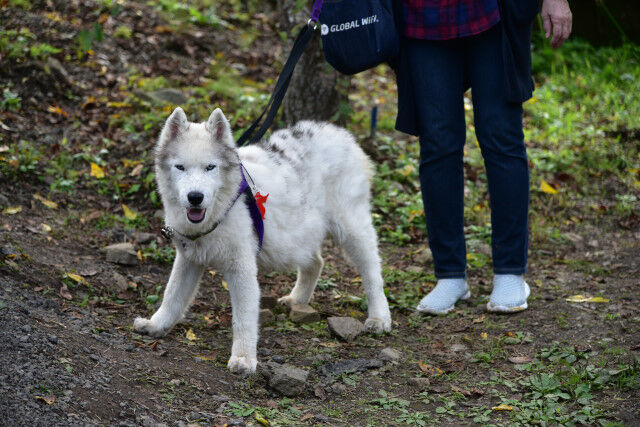 DSC_4860_3554