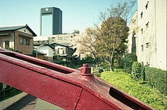 tn_Image16